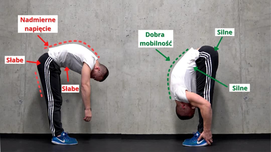 Rozciąganie przed czy po cardio: uniknij kontuzji i popraw wyniki